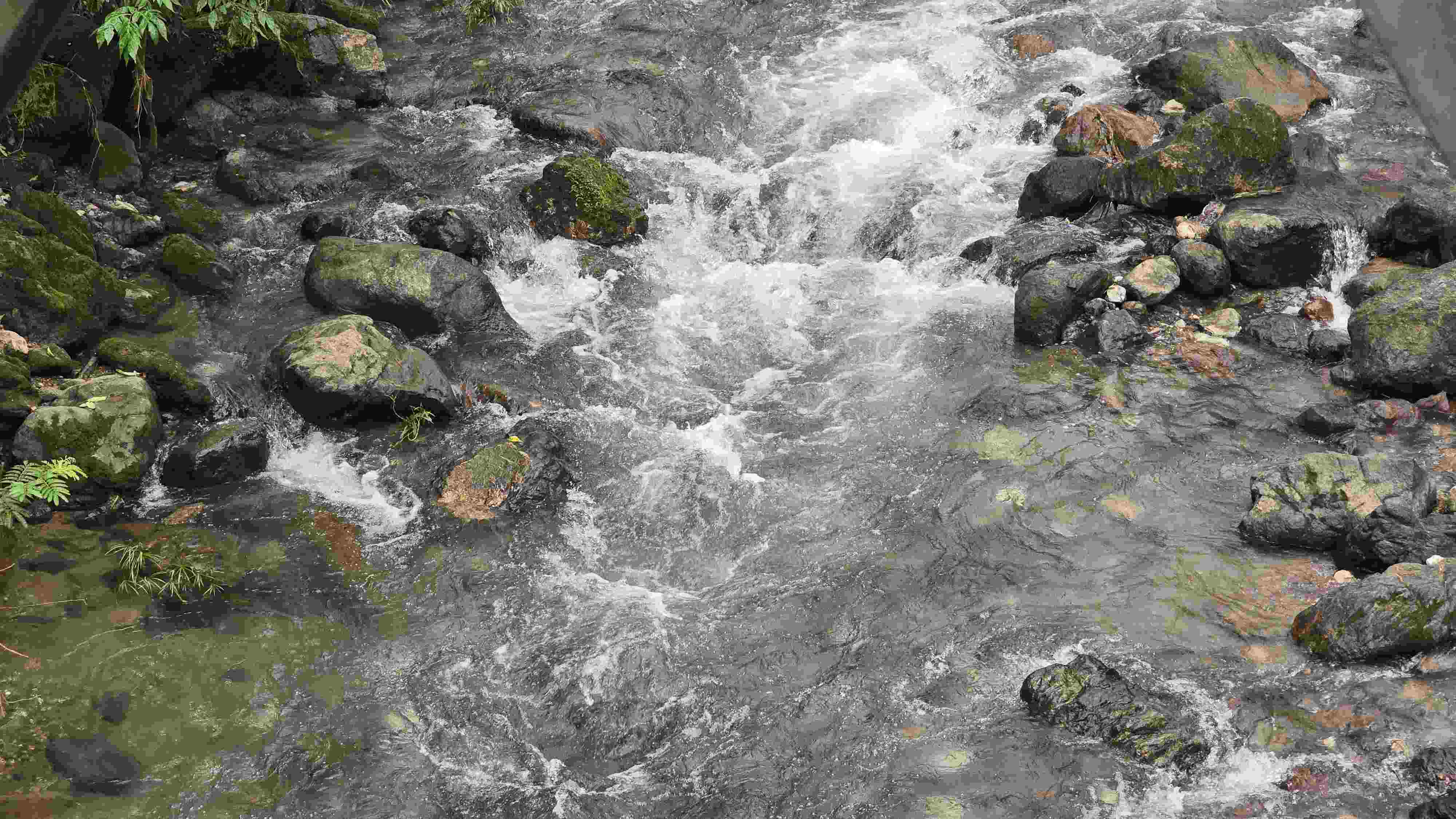 Swift River residents urged to take precaution