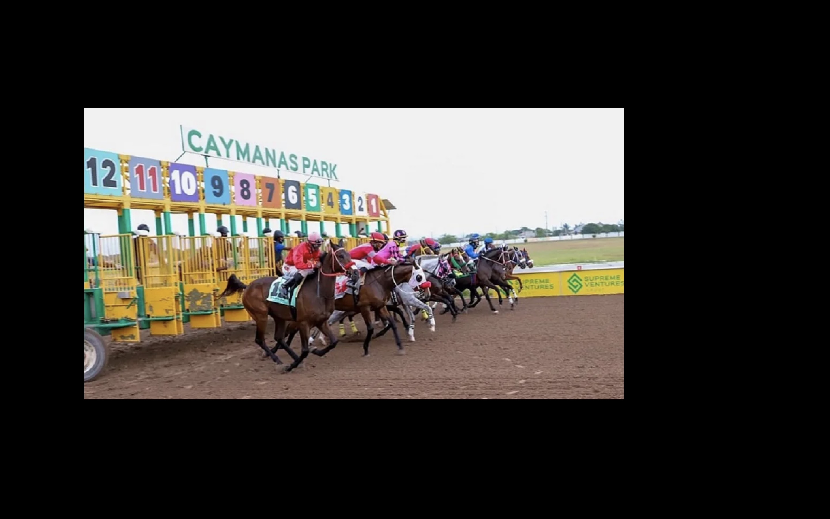 Lucky Caymanas Park Punter Wins $11M from one wager