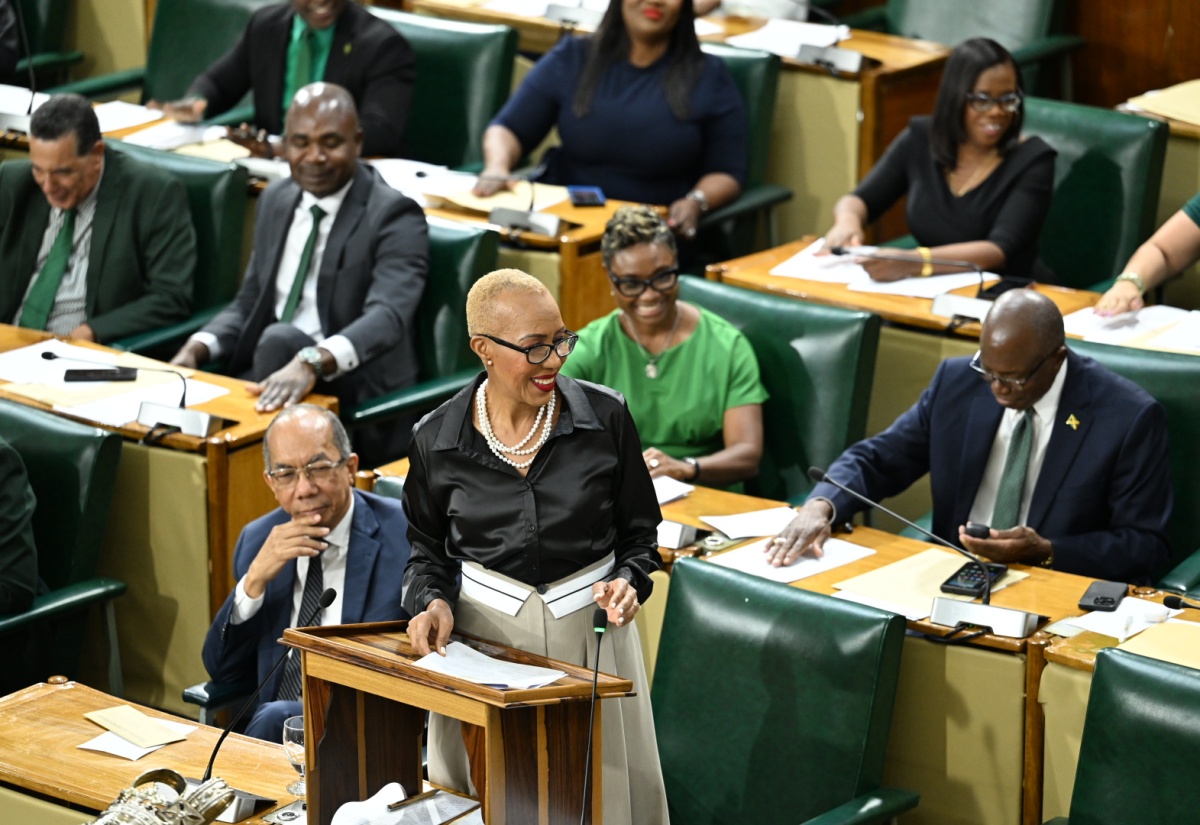 'Holness admin not a run wid it gov't', Williams draws distinction with PNP in maiden budget speech