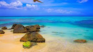Jamaicans invest US$100 million in high-end tourism and residential development in Montego Bay
