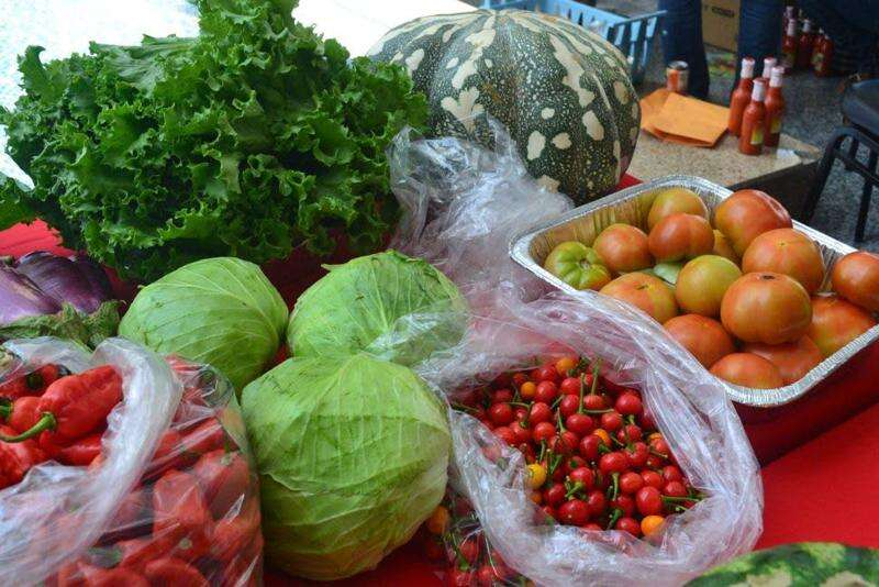 Agriculture dominates goods-producing industry